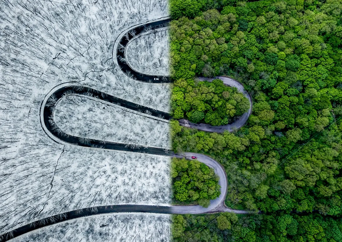 Nature